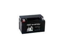 RS 1207