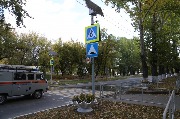 IMG_8334.jpg