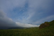 DSC01516.JPG