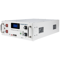 POWER UNIT 51.2-100 LFP 16S1PA W