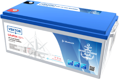 LFP MARINE Series Smart BMS 100A  (Bluetooth 4.0)