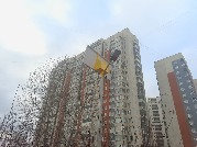 P51230-130309.jpg