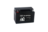 RS 1209