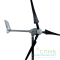 WSS-1000-900-400-24Carbon*