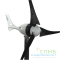 WSS-500-150-33-12Carbon