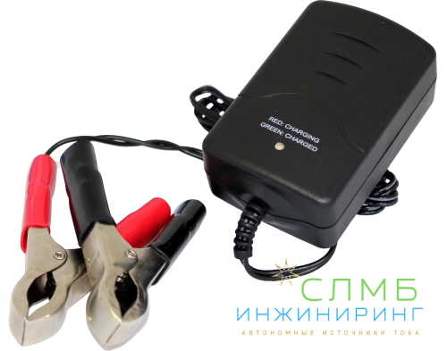 ЗУ Восток 220-12-0.3