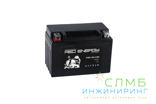 RS 1209