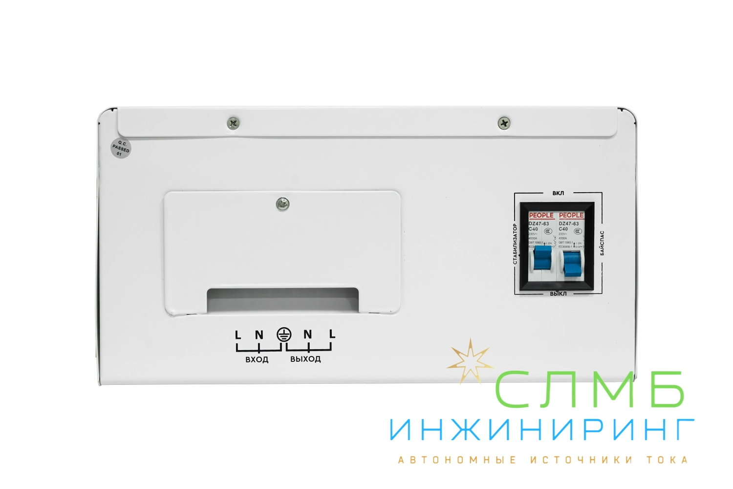 AVR SERVO 10000SW