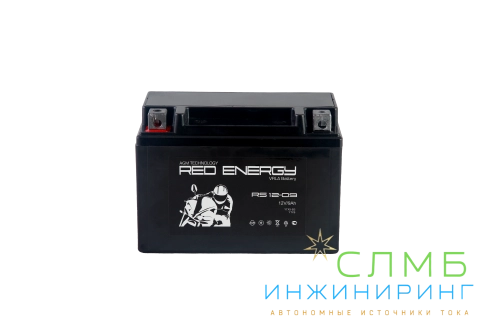 RS 1209