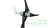 WSS-500-150-33-12Carbon